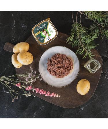 BALANCE & Instinct - Adult Dog - Lamb Wet Food Pate - Summer Limited Edition - Complete Recipe Formulated with Veterinarians - 4x300g - Made in France - Buy Online on GoSupps.com