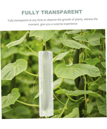 BESPORTBLE 4 pcs Shape Vegetable Transparent and Forming Accessories Watermelon Styling Tool - Buy Online on GoSupps.com