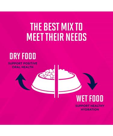 Eukanuba Puppy Small Breed Puppy Food 15 Pounds Chicken 240 g (Pack of 1) Standard Packaging - Buy Online on GoSupps.com