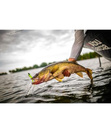 Berkley Gulp! Alive! 1-Inch Minnow Smelt - Realistic and Lifelike Fishing Bait - Buy Online on GoSupps.com