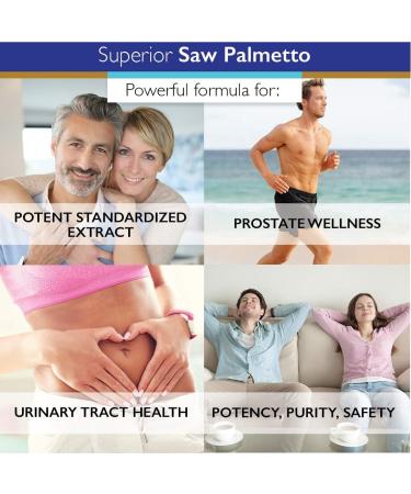 Saw Palmetto Extract 300mg - 120 Vegetarian Capsules - Non-GMO, Non-Synthetic Formula for Urinary Health - Buy Online on GoSupps.com
