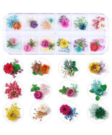 KISSBUTY 24 Colors Dry Flowers Nail Art Supplies - 2 Boxes Mini Real Natural Dried Flowers for 3D Nail Decoration - Gypsophila Flowers Daffodil Manicure Sticker - Buy Online on GoSupps.com