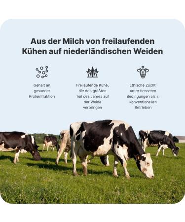 Vilgain Grass-Fed Whey Protein Powder 2000g | 100% Pure Fast Muscle Recovery Natural Vanilla Taste | Premium Quality - Buy Online on GoSupps.com