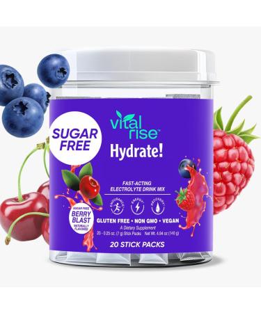 Vital Rise Electrolytes Powder Packets Sugar-Free Electrolytes for Quick Hydration| Best Electrolytes with No Sugar Low Sodium Electrolytes for Kids and Adults