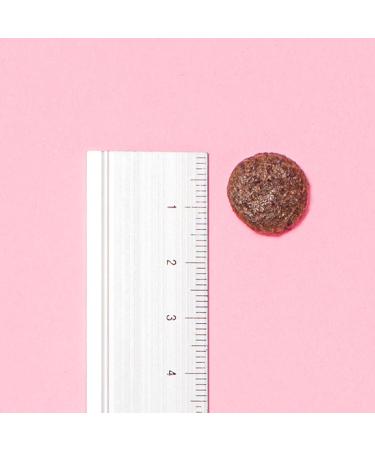 Pooch & Mutt Veterinary Diet Dog Food (Grain Free) Renal 1.5kg 1.5 kg (Pack of 1) - Buy Online on GoSupps.com