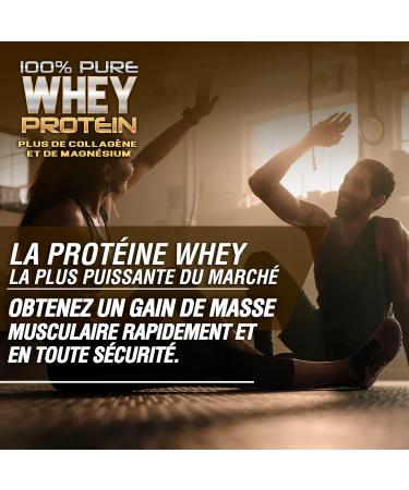 Whey Protein | Pure Protein with Collagen + Magnesium | Tones and Increases Muscle Mass | Protects Muscles and Aids Fibrous Tissue Recovery | 1000g Chocolate Protein - Buy Online on GoSupps.com