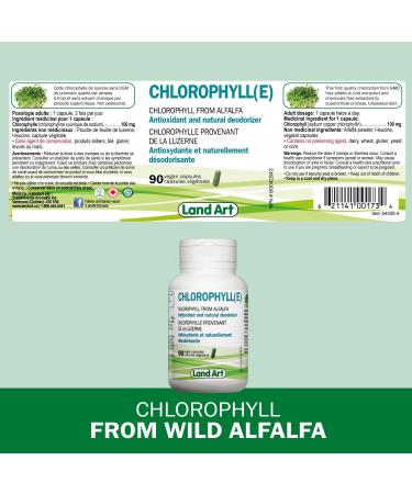 Chlorophyll Capsules - 90 pills - Cold Extracted from Non-GMO Alfalfa - Detox - Alkaline - Natural Body Deodorant Antioxidant - Made in Canada- PACK OF 2 - Buy Online on GoSupps.com