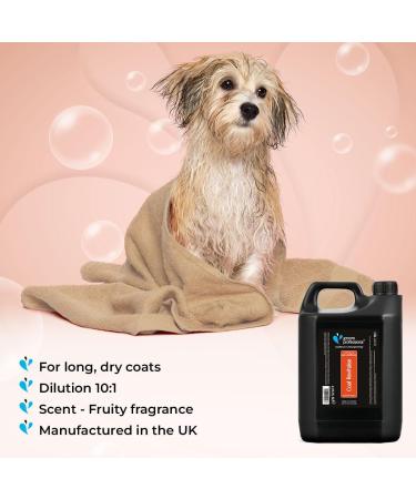 GROOM PROFESSIONAL Coat Revitalise Dog Conditioner 4L - Adds Shine and Body - For Dry & Dull Coat - Renewing Formula - Buy Online on GoSupps.com