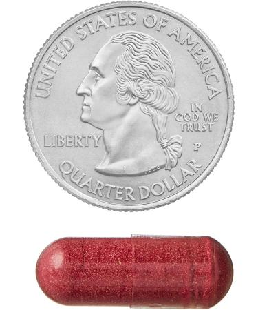 Spring Valley Cranberry Extract 500mg 60 Count Vegetarian Capsules for Women Urinary Tract Health 2 Pack - Set by Basket Goods - Buy Online on GoSupps.com