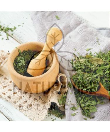 Naturevibe Botanicals Mint Powder 8oz - Pure and Refreshing Flavor Enhancer - Buy Online on GoSupps.com