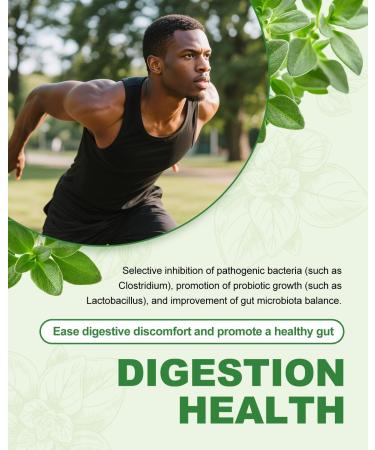 SANSICE Oil of Oregano Drops Organic Oregano Oil with Carvacrol 60% Carvacrol Liquid Supplement for Support Immune Function Digestive Health & Antioxidant Benefits(1 FL OZ) - Buy Online on GoSupps.com