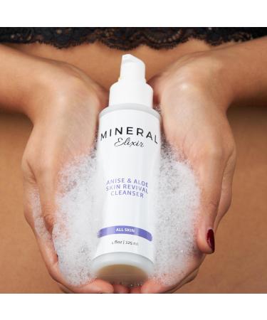 Anise & Aloe Skin Revival Facial Cleanser 4 Fl Oz - Hydrate & Revitalize Your Skin | International Shipping Available - Buy Online on GoSupps.com