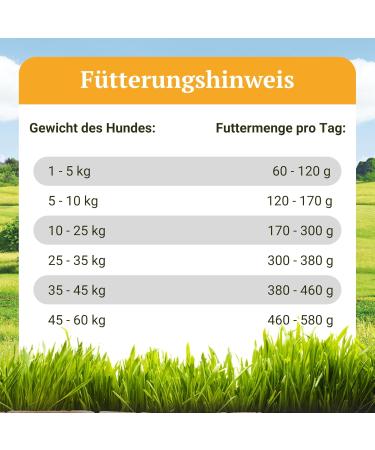 Bellfor Heide-Schmaus Grain-free lamb and wild rabbit croquettes High proportion of omega-3 fatty acids Rich in vitamins minerals and natural antioxidants 2.5 kg - Buy Online on GoSupps.com