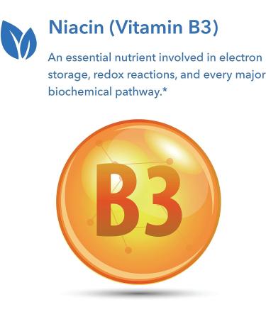 Niacin Vitamin B3 250mg 90 Veg Capsules - Essential Heart Health Supplement - Buy Online on GoSupps.com