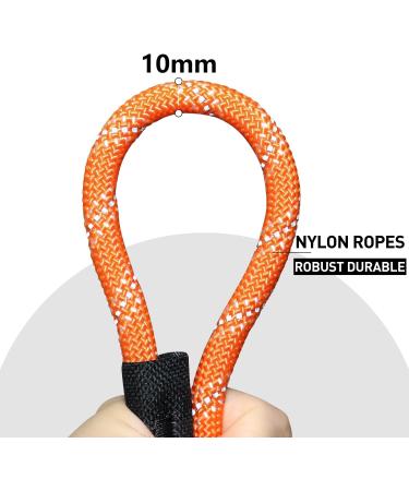CANDYDOG Training Lead for Dogs 20m Reflective Long Dog Rope Leash with Soft Padded Handle for Dogs Suitable for Small to Large Dogs Orange - Classic Leashes and Training Leashes B1-20M - Buy Online on GoSupps.com