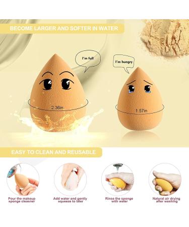 Duaiu Makeup Sponges Set - 4 Latex-Free Beauty Blenders in 4 Colors with Lemon Yellow Holder Case - Buy Online on GoSupps.com