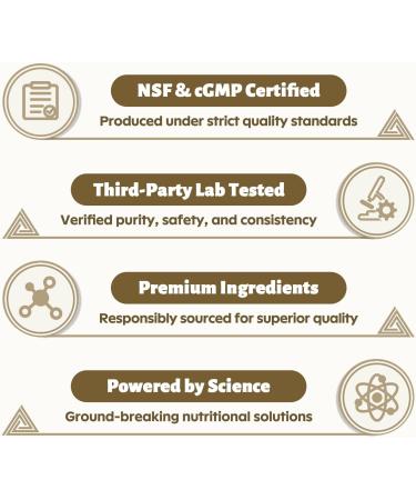 Turmeric Curcumin Supplement 1 500mg 95% Standardized Curcuminoid with Ginger MCT Oil & Black Pepper for Better Absorption for Antioxidant & Joint Support 120 Capsules 120 Count (Pack of 1) - Buy Online on GoSupps.com