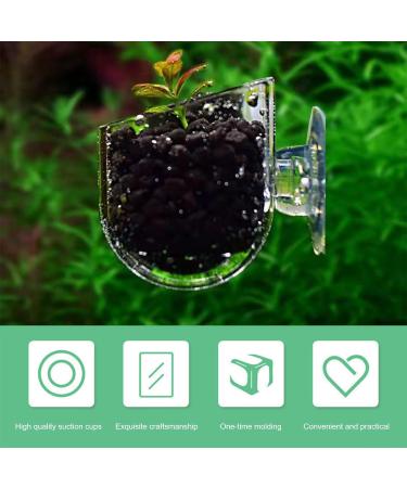 Vueinrg 8-Piece Aquarium Plant Pot Set - Decorative Glass Cups with Suction Cups for Shrimp Landscape Decor - Buy Online on GoSupps.com