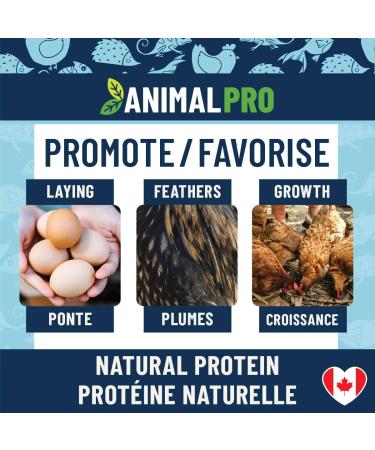 AnimalPro Mealworms and Crickets 227 g - 0 5 LB - Buy Online on GoSupps.com