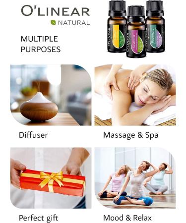 Top 8 Aromatherapy Essential Oils Set for Diffuser & Humidifier | Stress Relief & Home Essentials Gift | Eucalyptus Oil for Candle Making - Buy Online on GoSupps.com
