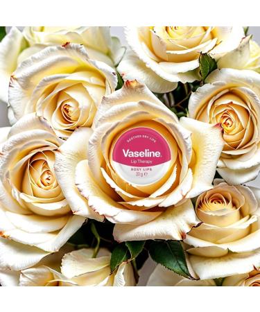 MM Vaseline Lip Therapy Rosy Lips - Moisturising Lip Balm with Rose Tint + Free Skincare Sample - Long-Lasting Hydration & Protection for Dry Lips - 20g Tin (6) - Buy Online on GoSupps.com