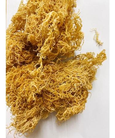 100% Natural Raw Sun Dried Wild Crafted Sea Moss (50g) / Caribbean Gold /Immune System Booser Supplement / Sourced Directly from Jamaica (Gold 50g) - Buy Online on GoSupps.com