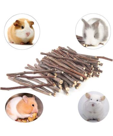 Natural Apple Sticks for Small Animals - 250g and 500g Chew Toys and Treats for Chinchilla, Guinea Pig, Hamster, Rabbit, Gerbil, Parrot, and Bunny - Buy Online on GoSupps.com