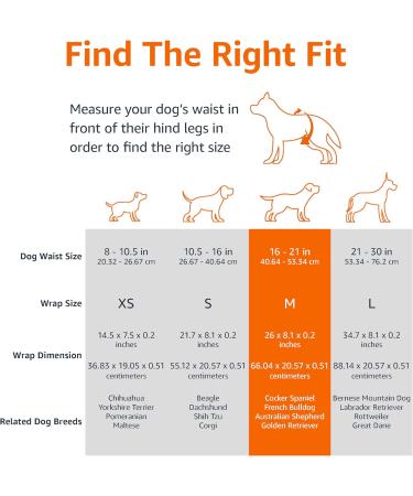 Amazon Basics Disposable Dog Diapers for Male Dogs - Medium Pack of 50 White | International Shipping Available - Buy Online on GoSupps.com