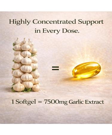 TRUE NATURALS Aged Garlic Extract - 300 Softgels 7500mg Odorless Organic Garlic Supplement 2-Year Matured for Heart Immune & Antioxidant Support Non-GMO Gluten Free Vegetarian (1) - Buy Online on GoSupps.com
