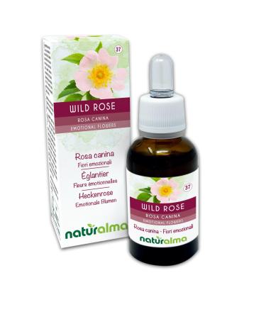 Wild rose ou glantier (Rosa canina) Fleurs motionnelles ou Fleurs de Bach Naturalma - Gouttes 30 ml - Extrait liquide sans alcool - Essences florales - Vegan