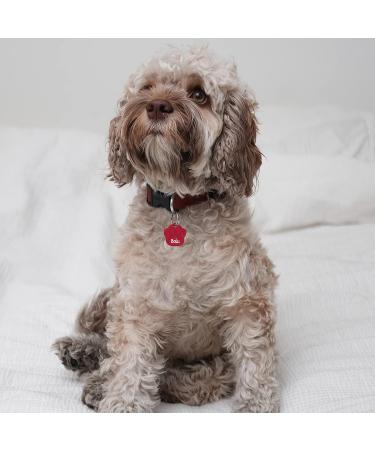 Personalized Red Engraved Dog Tag Paw - Small 26mm | Custom Pet ID Tags for Dogs - Buy Online on GoSupps.com