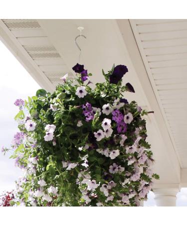 OOK 50330 Jumbo Swag Hook with Hardware White White 1-Pack - Buy Online on GoSupps.com