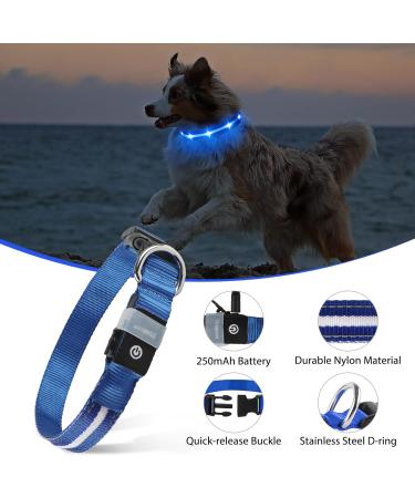 Masbrill Luminous LED Dog Collar - Waterproof & Adjustable Safety Band with 3 Flashing Lights for Small to Large Dogs (Blue XS 25-35cm) - Buy Online on GoSupps.com