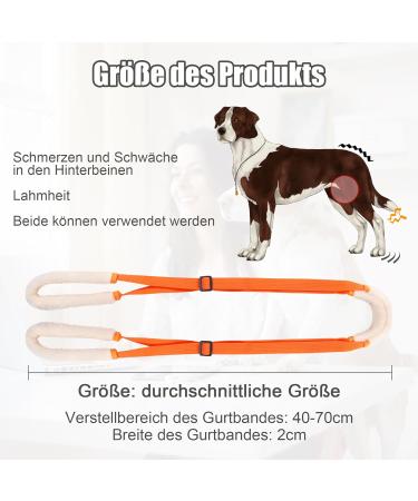 Shop Lollanda Walking Aid for Dogs - Support Mobility for Sick & Older Dogs | Orange Wearable Aid & Dog Dishes - Buy Online on GoSupps.com