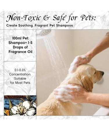 HIQILI 30ML Pine Needle Essential Oil & 30ML Blue Miracle Water Fragrance Oil for DIY Diffuser - Buy Online on GoSupps.com