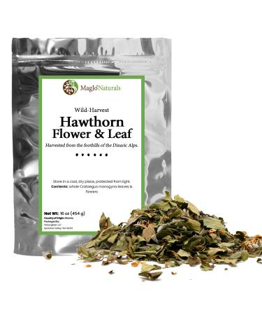 Hawthorn Leaf and Flower by MagJo Naturals, Wild-Crafted, Cut and Sifted, Dried Loose Leaf, Makes crisp cup of Hawthorn Tea Hawthorn Leaves Hawthorn Herb Hawthorne Leaves Hawthorne Leaf Tea Hawthorn Leaf And Flower (Crataegus) (1 lb)