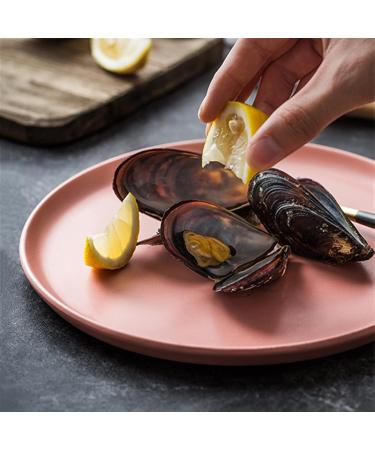 Salad Plate Frosted Dining Plate Round Home Kitchen Restaurant Cafe Dining Plate Dessert Plate Dining Plate Steak Plate Ceramic Simple Flat Plate for Kitchen Plate (Color : 001 Size : M) Medium 001 - Buy Online on GoSupps.com