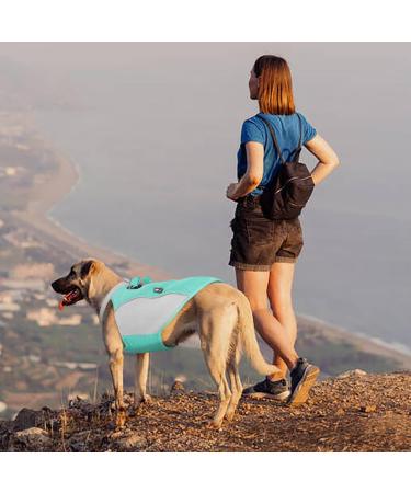Buy Hjyokuso Cooling Vest for Dogs - Summer Cool Jacket for All Sizes - Perfect for Outdoor Activities & Training - Buy Online on GoSupps.com