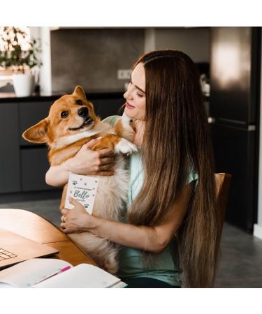 Personalized Wilhelm Fell Case for EU Pet ID Card - Custom Name & Date Gift for Pet Owners | Iconductor - Buy Online on GoSupps.com