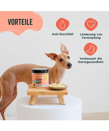 Wolf Belly Probiotics for Dogs & Cats - 100% Natural Intestinal Renovation Powder (180g) | Diarrhea Relief Stomach Protection & Firm Stool - Buy Online on GoSupps.com