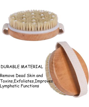 Dry Body Brush Exfoliating Back Scrubber for Cellulite & Blood Flow - Natural Loofah Scrubber for Shower - Buy Online on GoSupps.com