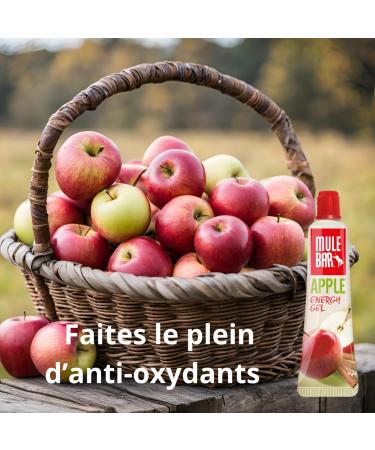 MULEBAR - Box of 24 Energy Gels - Apple - Vitamice C - Antioxidant - Immune System - 2IN1 - Pure or Diluted Gel - Easy to Digest - Gluten Free - 100% Natural and Vegan - 37gr - Buy Online on GoSupps.com