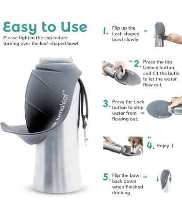 Buy Lumoleaf 800ml Stainless Steel Dog Drinking Bottle - Portable Pet Water Dispenser for Hiking & Camping (Gray) - Buy Online on GoSupps.com