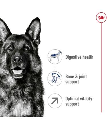 Royal Canin Dog Food Maxi Adults 5+ 4kg - Buy Online on GoSupps.com
