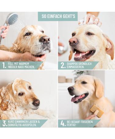 Reavet Dog Shampoo 250ml - Neem Oil Formula for Itching Fleas Ticks & Mites - Suitable for All Breeds & Puppies - Pleasant Fragrance & Skin-Friendly - Buy Online on GoSupps.com