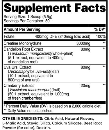 Pump-It-Up Creatine - 50 Servings Strawberry Lemonade | Creatine Monohydrate with Dandelion Uva Ursi & Cranberry Extract - International Shipping Available - Buy Online on GoSupps.com