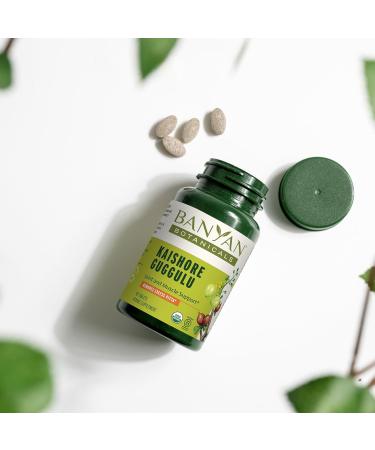 Banyan Botanicals Kaishore Guggulu - Organic Joint Support Supplement | Non-GMO Vegan | 90 Tablets for Healthy Joints & Muscles | Sustainably Sourced - Buy Online on GoSupps.com