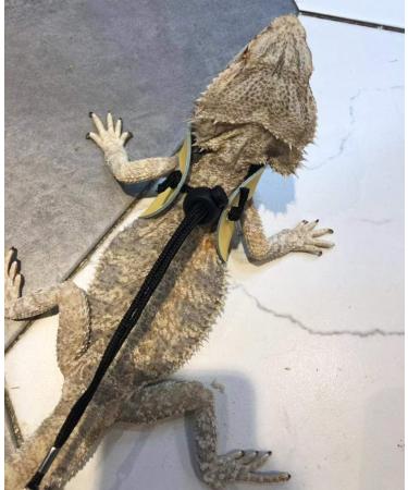 Adjustable Reptile Lizard Harness Leash Amphibians Pet Small Animals 3Chest Pack (Red) - Buy Online on GoSupps.com