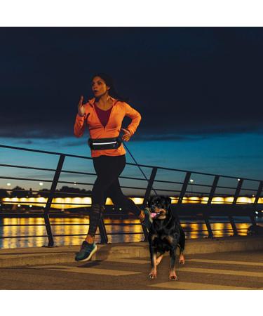 Hands Free Dog Lead with Fanny Pack for Walking Jogging Running Durable Dog Lead for Medium Large Dogs Retractable Bungee Lead Running Dog Lead with Reflective Stitches Seat Belt Buckle - Buy Online on GoSupps.com