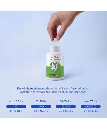 Milk Thistle for Dogs - 120 Chewable Tablets - Silymarin - Liver and Kidney Support with EPA & DHA - Detox - Liver Supplement for Dogs with Choline and L-Arginine Tablet for Dogs - Buy Online on GoSupps.com